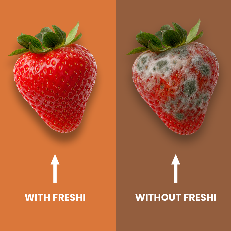 Freshi Fridge Companion